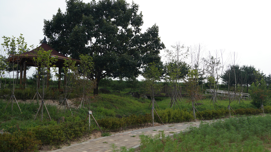  실외 산책로