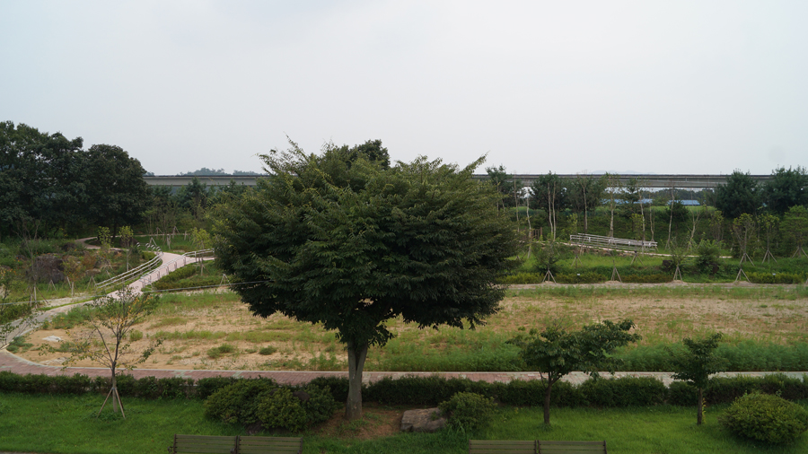  실외 산책로