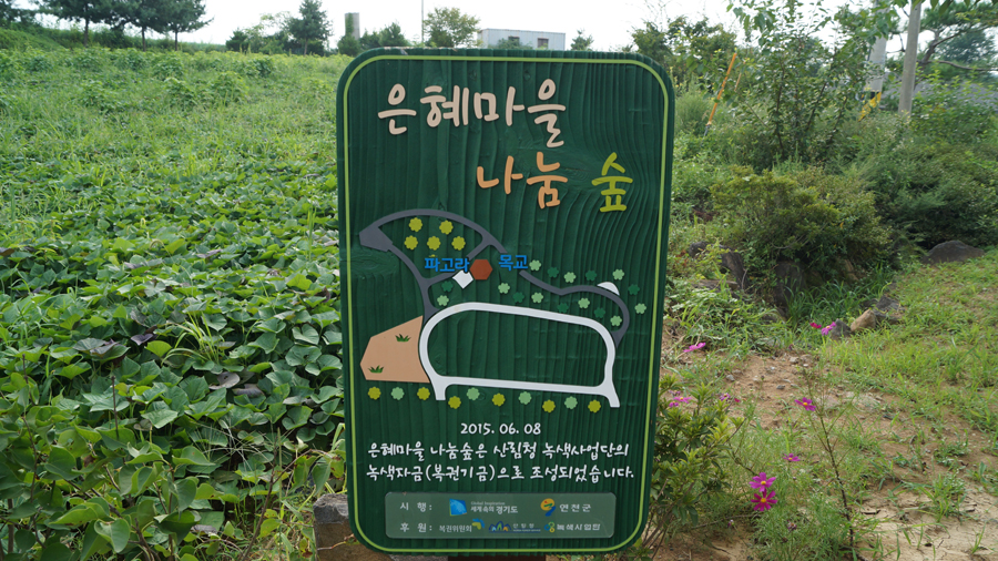  실외 산책로