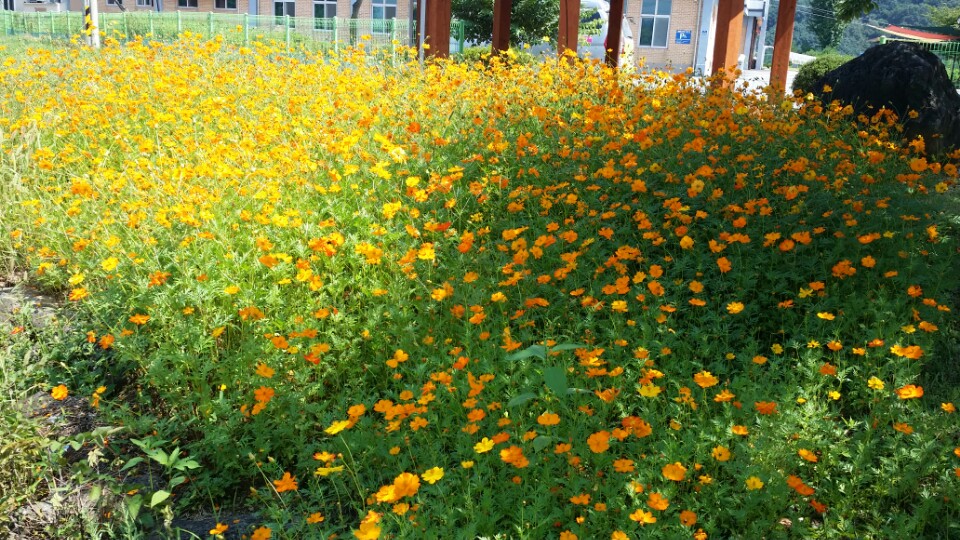  실외 산책로