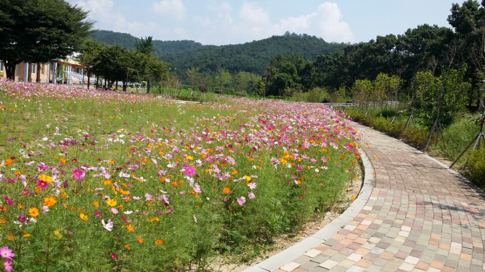  실외 산책로