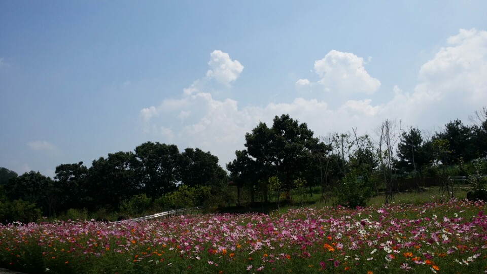  실외 산책로