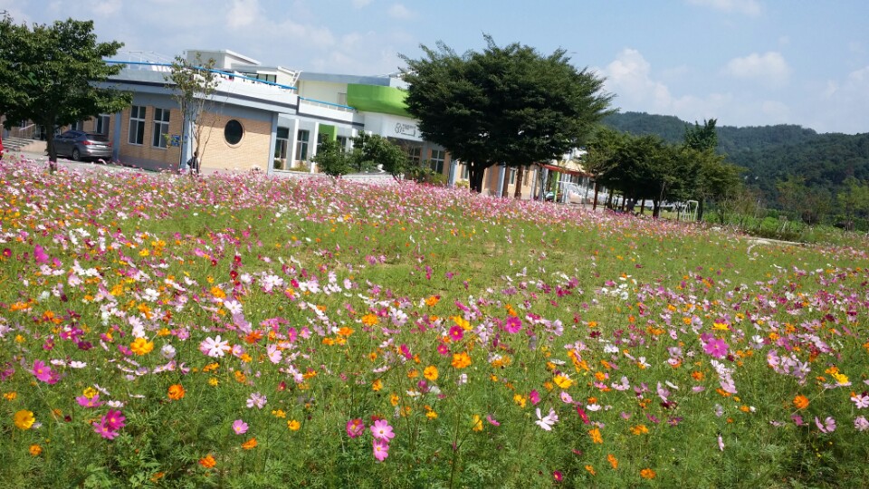  실외 산책로