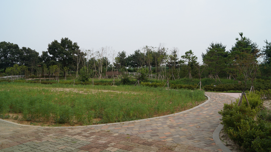  실외 산책로